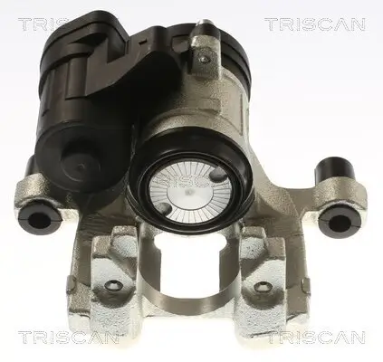 Bremssattel TRISCAN 8175 292009