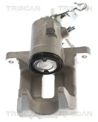 Bremssattel TRISCAN 8175 29202