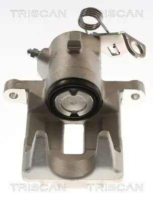 Bremssattel TRISCAN 8175 29204