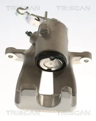 Bremssattel TRISCAN 8175 29205