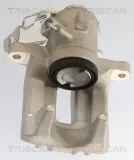 Bremssattel TRISCAN 8175 29215