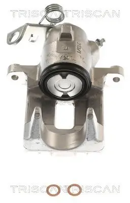 Bremssattel TRISCAN 8175 29217