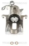 Bremssattel TRISCAN 8175 29217