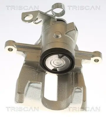 Bremssattel TRISCAN 8175 29219