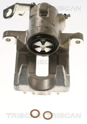 Bremssattel TRISCAN 8175 29221