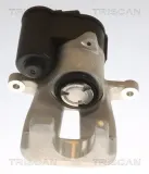 Bremssattel TRISCAN 8175 29223