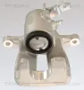 Bremssattel TRISCAN 8175 29228