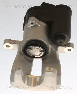 Bremssattel TRISCAN 8175 29242