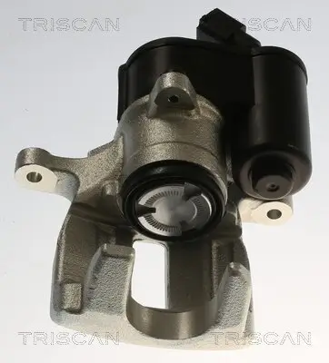 Bremssattel TRISCAN 8175 29249