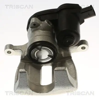 Bremssattel TRISCAN 8175 29252