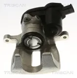Bremssattel TRISCAN 8175 29252