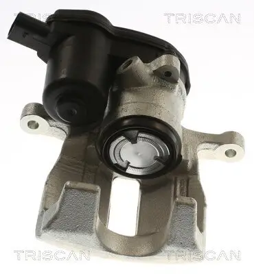 Bremssattel TRISCAN 8175 29253