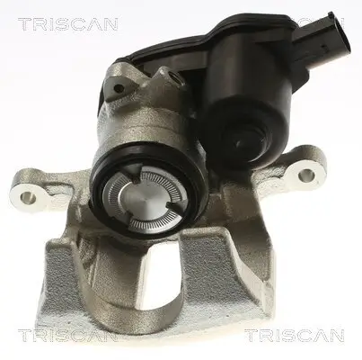 Bremssattel TRISCAN 8175 29254