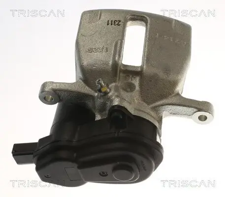 Bremssattel TRISCAN 8175 29257 Bild Bremssattel TRISCAN 8175 29257