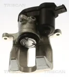 Bremssattel TRISCAN 8175 29258