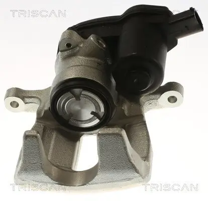 Bremssattel TRISCAN 8175 29260