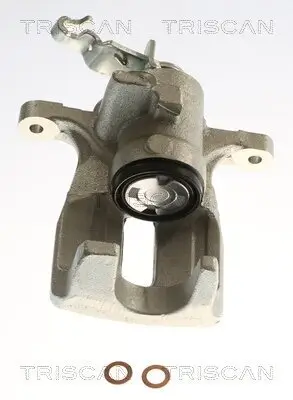 Bremssattel TRISCAN 8175 29263