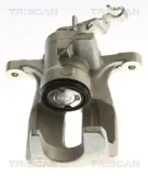 Bremssattel TRISCAN 8175 29264