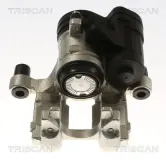 Bremssattel TRISCAN 8175 29268