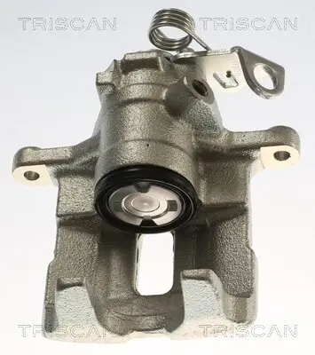 Bremssattel TRISCAN 8175 29290