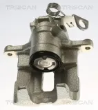 Bremssattel TRISCAN 8175 29290