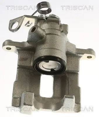 Bremssattel TRISCAN 8175 29291