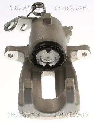 Bremssattel TRISCAN 8175 29293