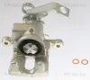 Bremssattel Hinterachse rechts TRISCAN 8175 40210 Bild Bremssattel Hinterachse rechts TRISCAN 8175 40210