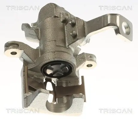 Bremssattel TRISCAN 8175 40213