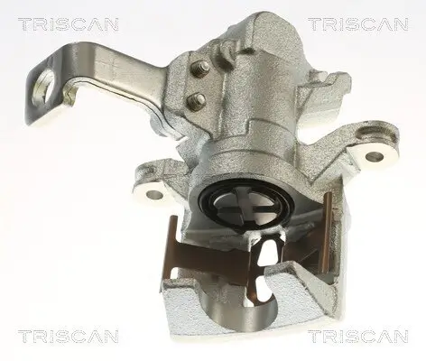 Bremssattel TRISCAN 8175 40214