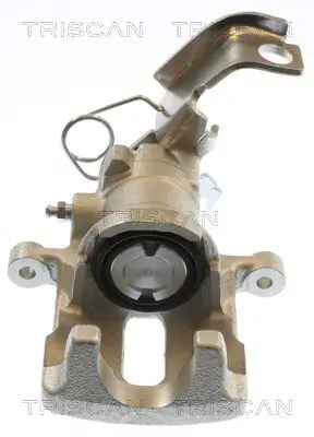 Bremssattel TRISCAN 8175 40216