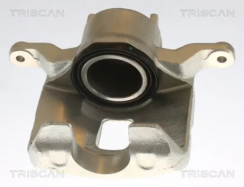 Bremssattel TRISCAN 8175 42103