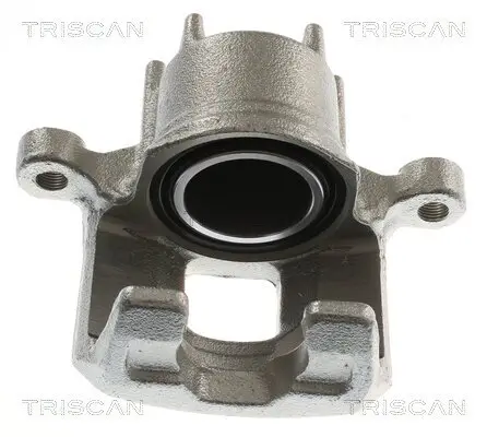 Bremssattel TRISCAN 8175 42113