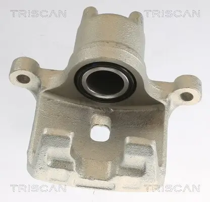 Bremssattel TRISCAN 8175 42202