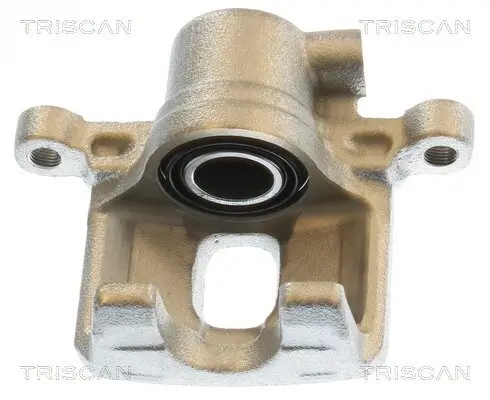 Bremssattel TRISCAN 8175 42209