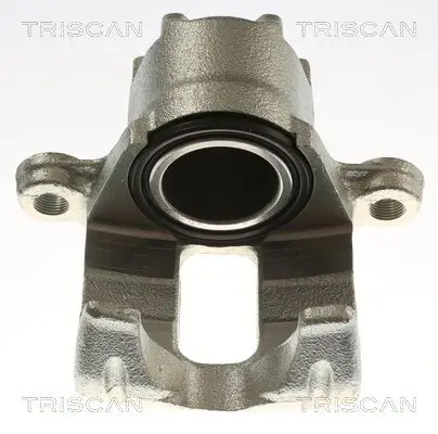 Bremssattel TRISCAN 8175 42215