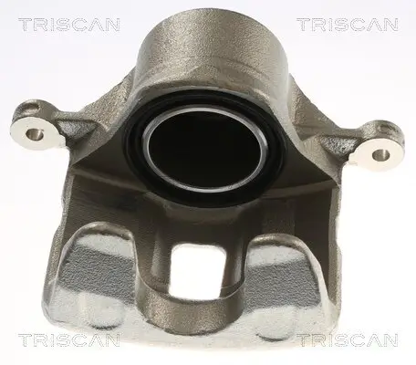 Bremssattel TRISCAN 8175 43115