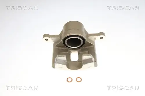 Bremssattel TRISCAN 8175 43148