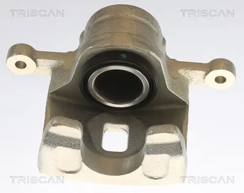 Bremssattel Hinterachse links TRISCAN 8175 43203