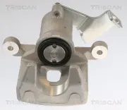 Bremssattel TRISCAN 8175 43219