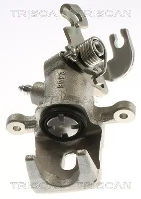 Bremssattel TRISCAN 8175 43225