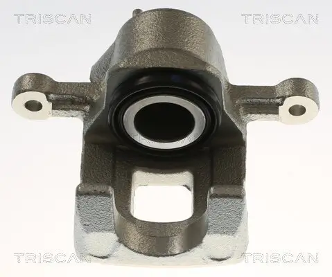 Bremssattel TRISCAN 8175 43229
