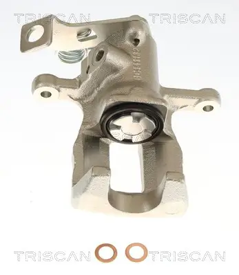 Bremssattel TRISCAN 8175 43256