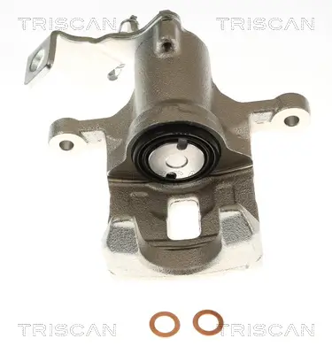Bremssattel TRISCAN 8175 43257