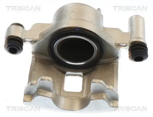 Bremssattel TRISCAN 8175 50108