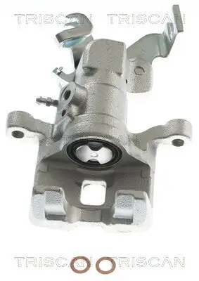 Bremssattel TRISCAN 8175 50201