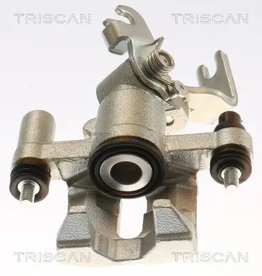 Bremssattel TRISCAN 8175 50206