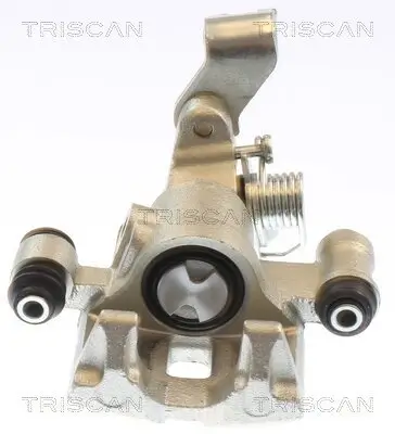 Bremssattel TRISCAN 8175 50208