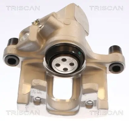 Bremssattel TRISCAN 8175 50212