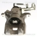 Bremssattel TRISCAN 8175 50215